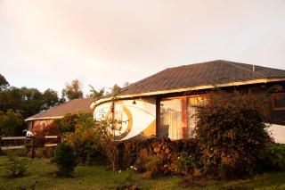 Altiplanico Rapa Nui - 4