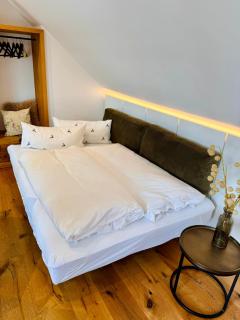 MoseLay Ferienwohnung Appartement NEU - Mehring - 4