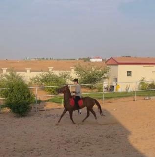 مزرعة العائلة - Ash Shu‘ayb - 4