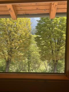 D'Fidlerin - Werfen - 6