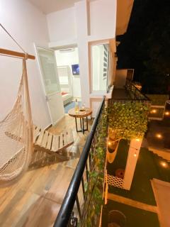 DG Divine Garden Tabasco - 6