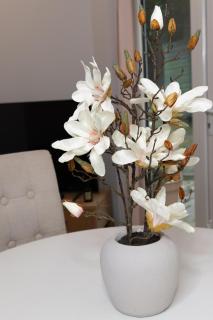37 Bethel-2 bed modern apartment in Canterbury - Canterbury - 6