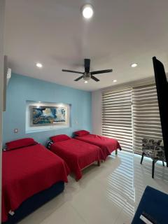 Casa Mazatlán - Mazatlán - 7