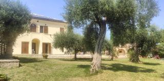 Casale Minù - Appartamento - Porto SantʼElpidio - 9