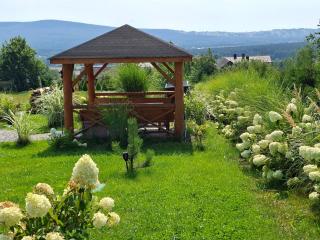 Świętokrzyskie Stodoły - Domek AJWO - 8