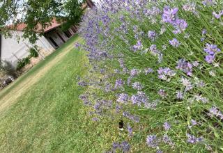 U Cerhů, Kněžmost - Český Ráj - Kněžmost - 9