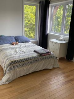 House on a beautiful maple grove - 1