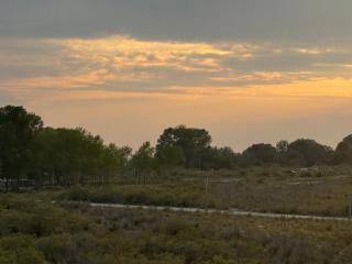 Calm & Green Retreat - 9
