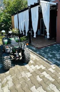 Calm & Green Retreat - Baks-Rrjoll - 5