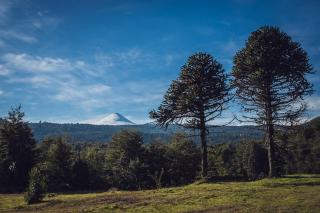 cabaña trelehueno a minutos de termas Vergara - 8