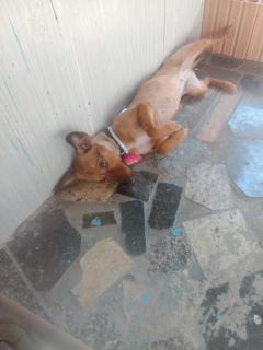 Studio Econômico da Maricotinha - No Air Cond - 1