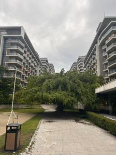 Tambuli Ocean Breeze - Maribago - 9