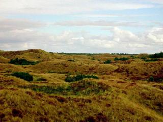 Spacious Retreat with View - By Traum Ferienwohnungen - Blåvand - 1