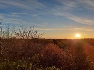 Renovated Retreat with Pool - By Traum Ferienwohnungen - 3