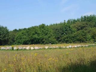 10 person holiday home in Dragør-By Traum - 8