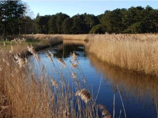 6 person holiday home in Gørlev-By Traum - 4