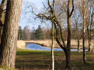 6 person holiday home in Gørlev-By Traum - 3