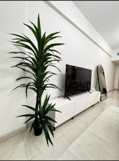 1BR Comfort Near Circle Mall - 3