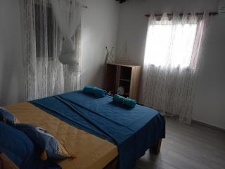 L ombre du manguier - 8