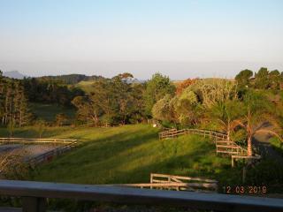 Laughing Horse Lodge - Animal friendly in Waipu - 5