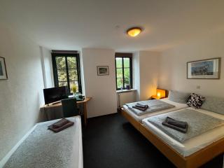 Hotel Bierhaus - Arzbach - 3