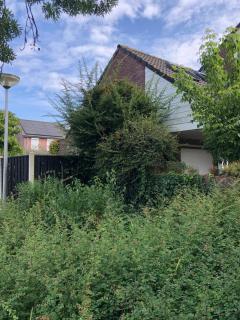 B & B Op de Bongerd - Winssen - 9
