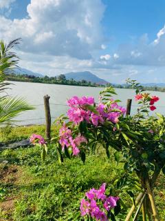 Biển Hồ Garden Glamping - 8