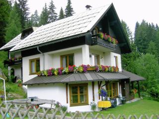 Apartment in Nassfeld near Ski Slopes - 3