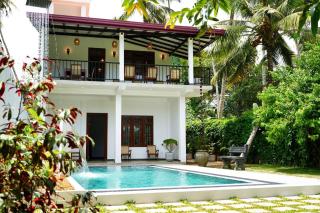 Bluelip Ceylon Weligama - 0