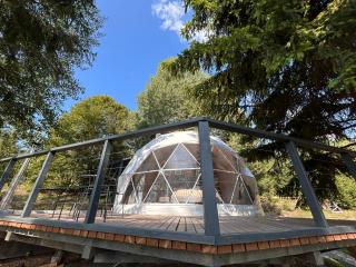 White Fox Dome - Harghita-Băi - 9