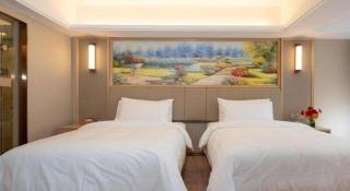 Vienna Hotel Guangxi Tiandong Times Plaza - 3
