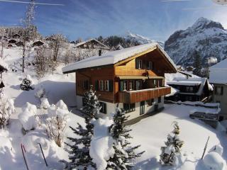Apartment Kiwi links - GRIWA RENT AG - Grindelwald - 9