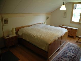 Charming Chalet Near Trails - 4