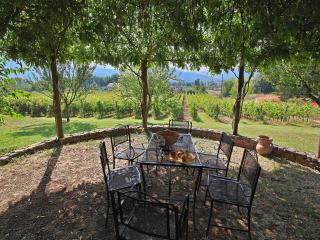 Relax & Unwind in Umbria - Umbertide - 4