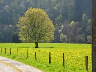 Countryside Stay, Nassogne - Nassogne - 2