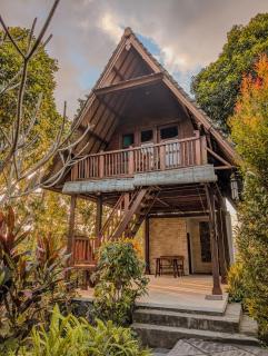 Triangle Cottage, Near 7 waterfall in north Bali - Ambengan - 9