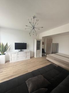 Großes, helles 1-ZimmerApartment bis zu 3 Personen - 0