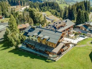 Chalet in Mittersill by Ski Lift & Sauna - 3