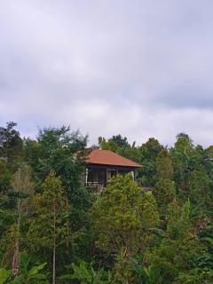 Wanagiri Reserve - Gitgit - 0