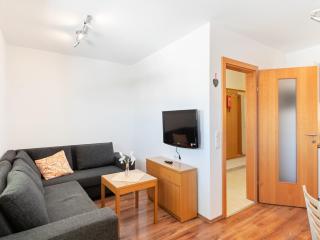 Apartment in Saalfelden near Ski Slopes - 4