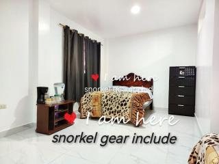 Cuarto en galápagos - 9