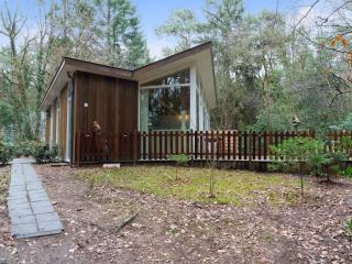 Forest House in Norg with Private Sauna - 4