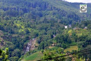 Solo Nest - Ella, Sri Lanka - Ella - 2