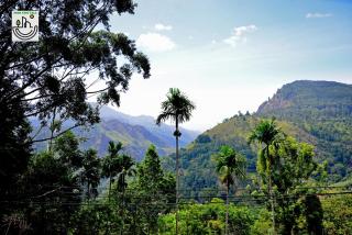 Solo Nest - Ella, Sri Lanka - 5