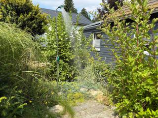 Erholen im Tiny House am Waldrand - 3