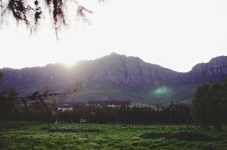 Vindoux Tree House Guest Farm & Spa - Tulbagh - 1