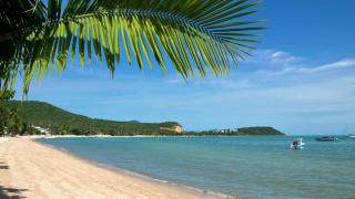 1 Bedroom Condo & Living Room Near the Beach for Rent - 4