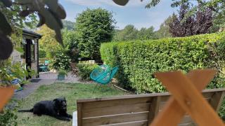 Whimsy by the Peaks, private parking, fenced garden, good walks, pub - Tansley - 5