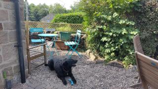 Whimsy by the Peaks, private parking, fenced garden, good walks, pub - Tansley - 4
