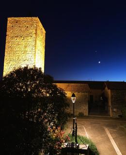 Le Mas Bastide - Gaudonville - 3